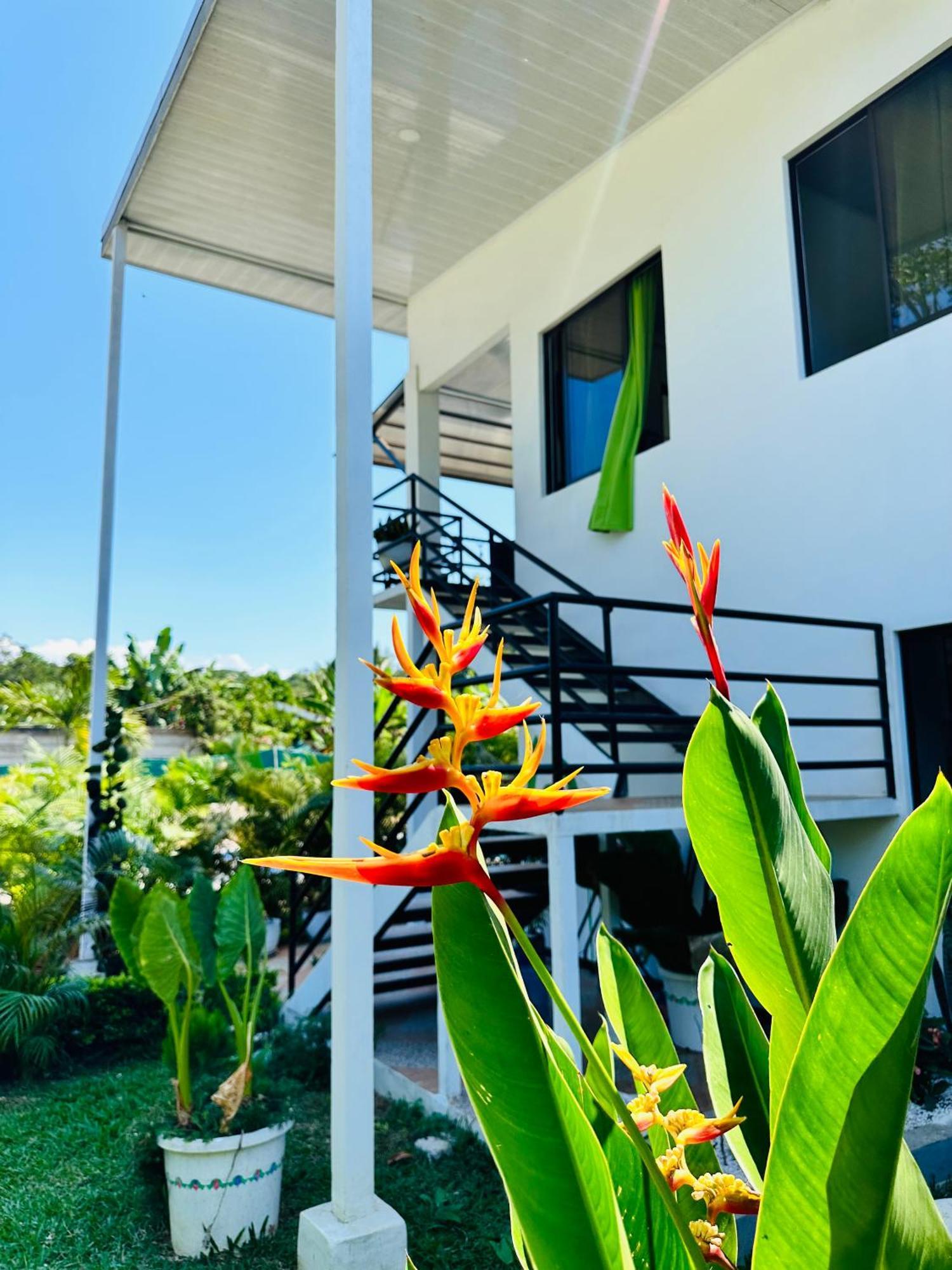 Oso Perezoso Pool Villa Puerto Viejo de Talamanca Extérieur photo